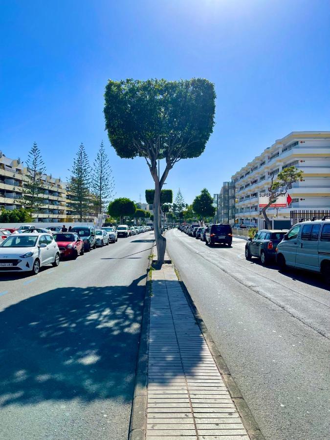 Tamaran 102 - Los Campos - Lux Garden Apt Near Dunes, Quiet-Central-Renovated San Bartolomé Luaran gambar
